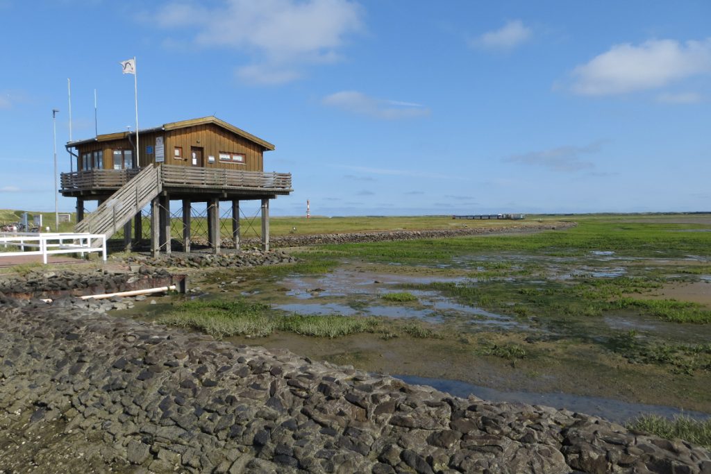 20150808-Wangeroog-paviljoen