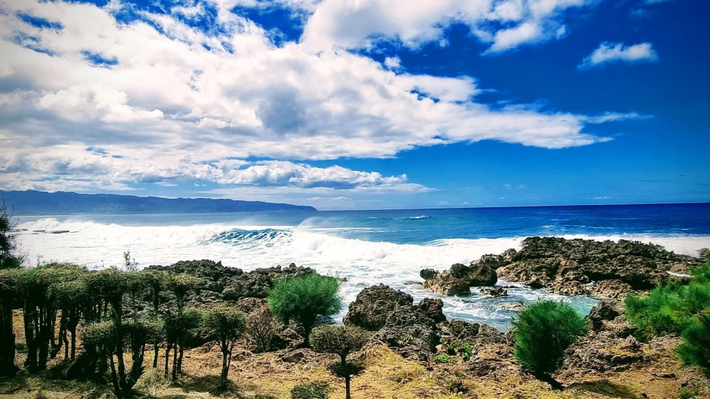 Hoge witte branding op een rotsige kust van Hawaii, met lage struiken op de voorgrond en bergen aan de horizon.